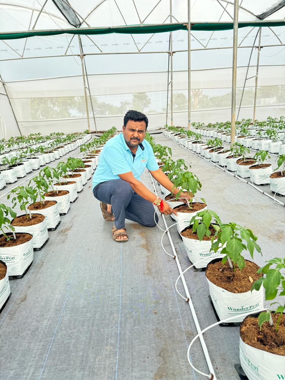 About Sanjyot Crop Science